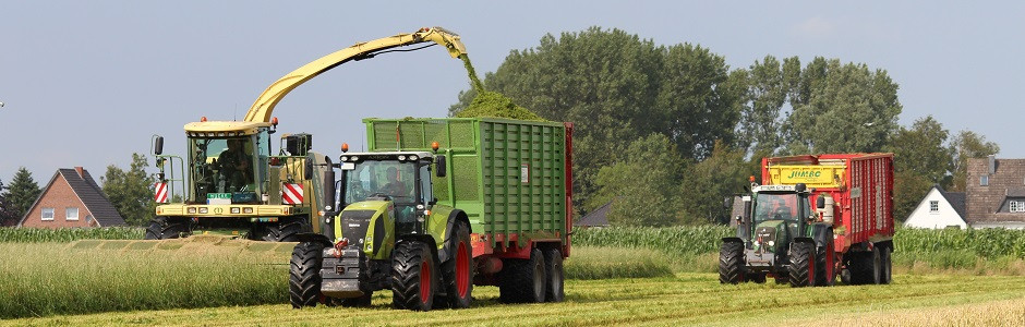 Leibniz-Forschungsverbund „Energiewende“: News & Termine